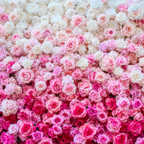 Pink & White Premium Ombre Flower Backdrops | 112