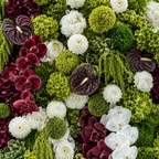 Premium Green, Burgundy and White Flower Backdrops | 4605