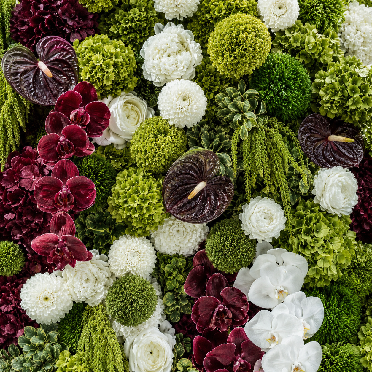 Premium Green, Burgundy and White Flower Backdrops | 4605
