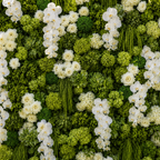Premium Greenery & White Flower Backdrops | 4587