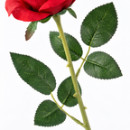 Premium Artificial Rose Flower Stem | Red