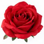 Premium Artificial Rose Flower Stem | Red
