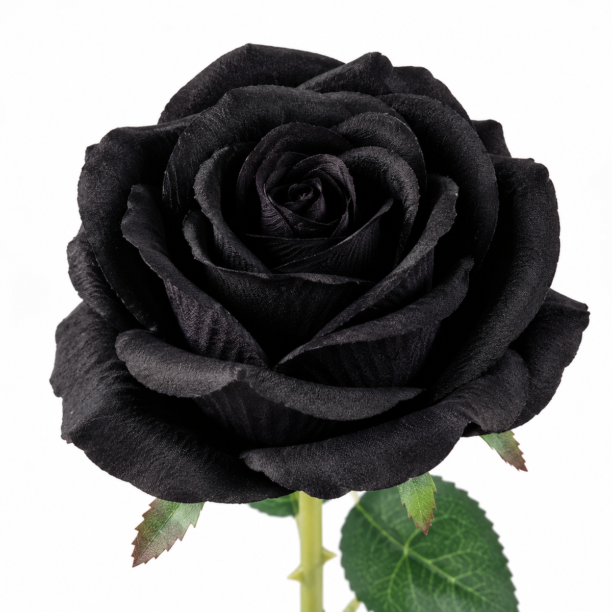 Black Real Touch Artificial Rose Stem