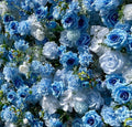 Blue & White Wild Rose Premium Flower Backdrops - 227