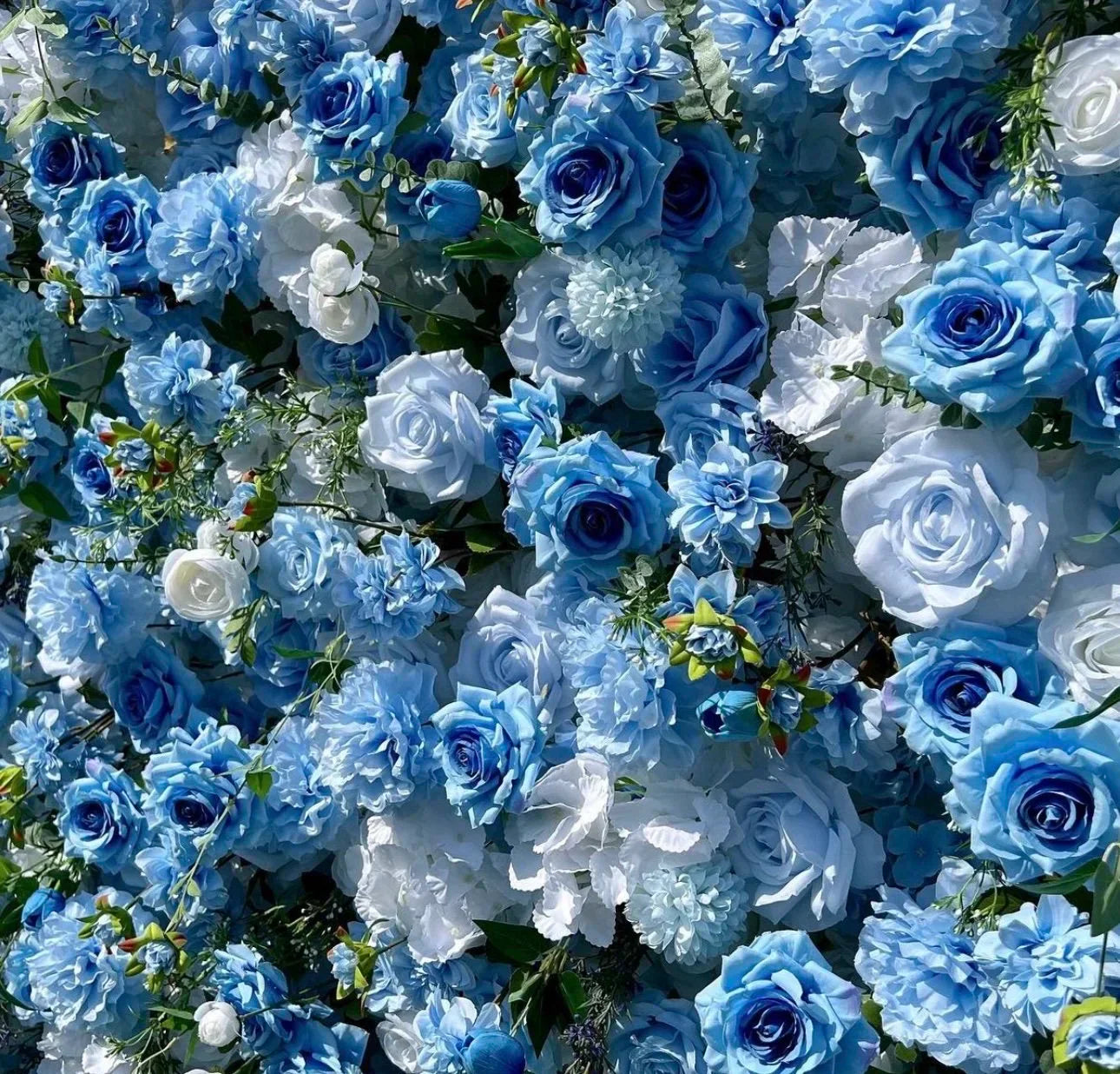 Blue & White Wild Rose Premium Flower Backdrops - 227