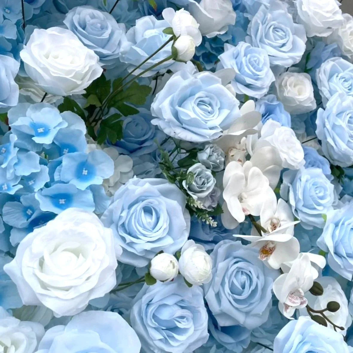 Dripping Blue & White Wild Rose Premium Flower Backdrops | 135