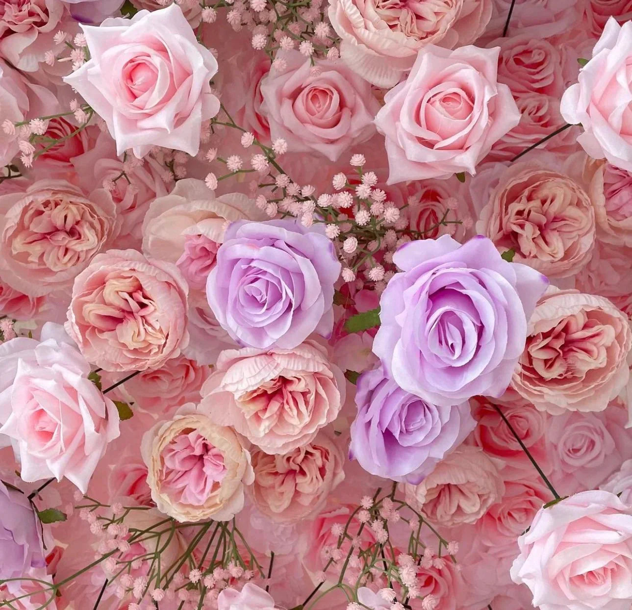 Baby's Breath Pink + Purple Rose Flower Backdrops | 068