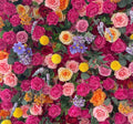 Pink, Orange & Yellow Wild Rose Premium Flower Backdrops | 121