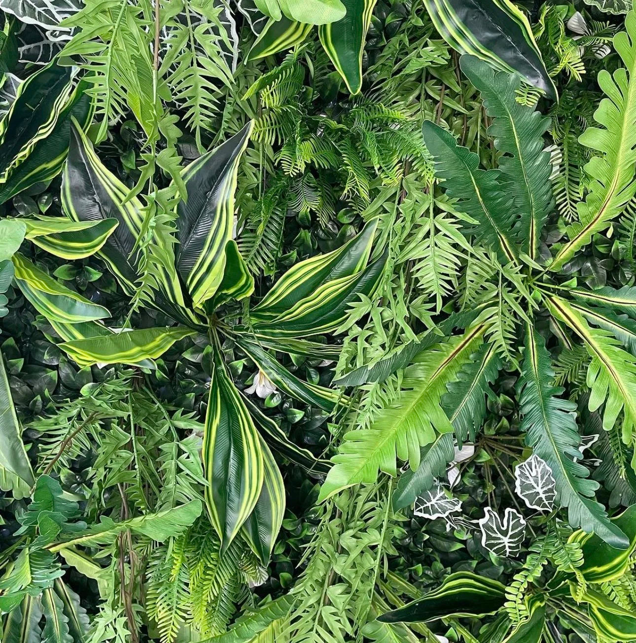 Tropical Rainforest Greenery Backdrops | 505