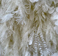 Into The Meadow White Ivory Flower Backdrops | 040