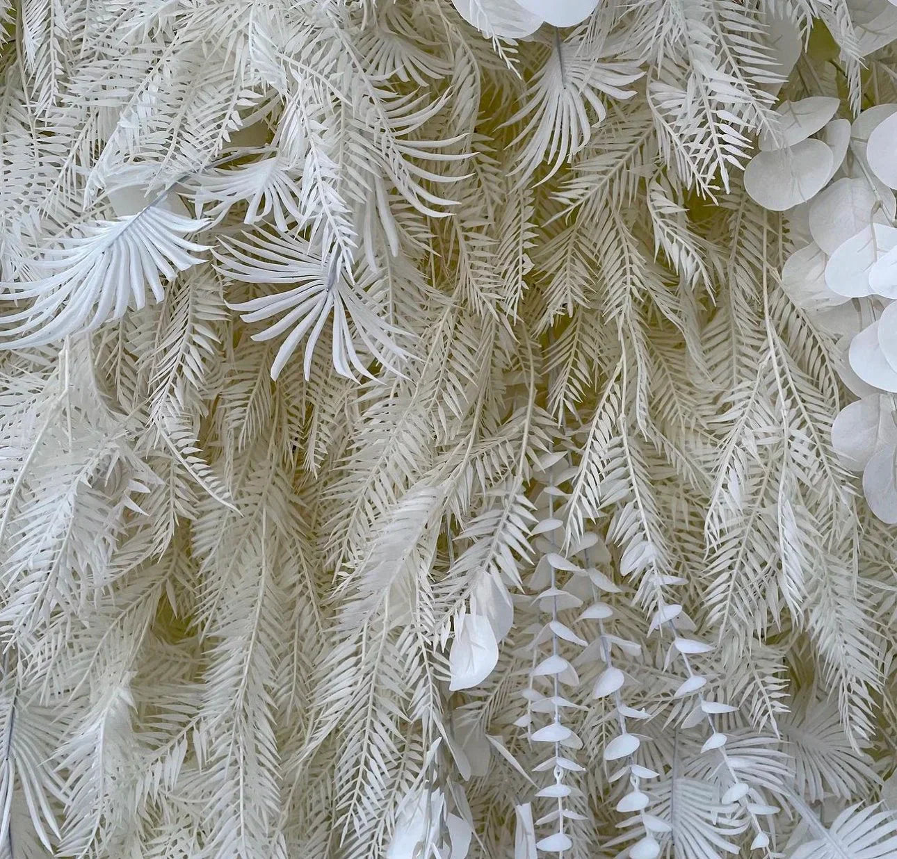 Into The Meadow White Ivory Flower Backdrops | 040