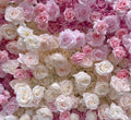Light Pink Cream Premium Rose Flower Backdrops | 099
