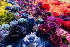 Rainbow Rose Premium Flower Backdrops | 100