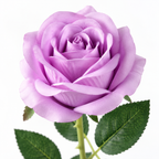 Premium Artificial Rose Stem, Light Purple, Approx. 20 Inches