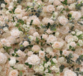 Blush Cream Premium Rose Flower Backdrops |  161