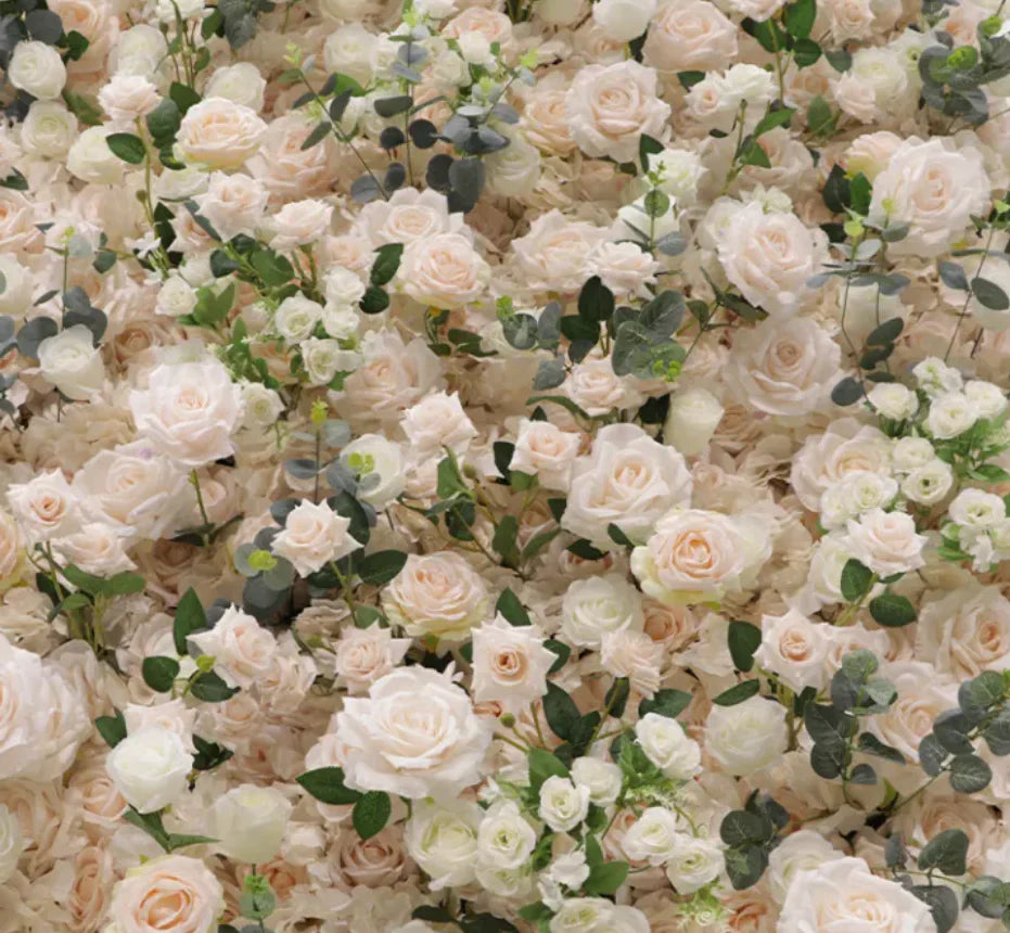 Blush Cream Premium Rose Flower Backdrops |  161