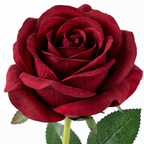 Premium Artificial Rose Stem | Dark Red