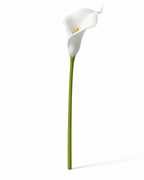 Real Touch Calla Lily Stem | White