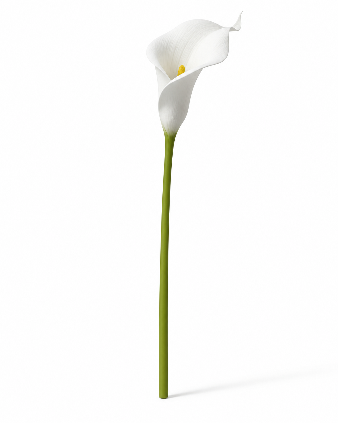 Real Touch Calla Lily Stem | White