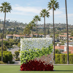 White, Green, Red and Pink Premium Rose Flower Backdrops | 327