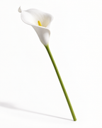 Real Touch Calla Lily Stem | White