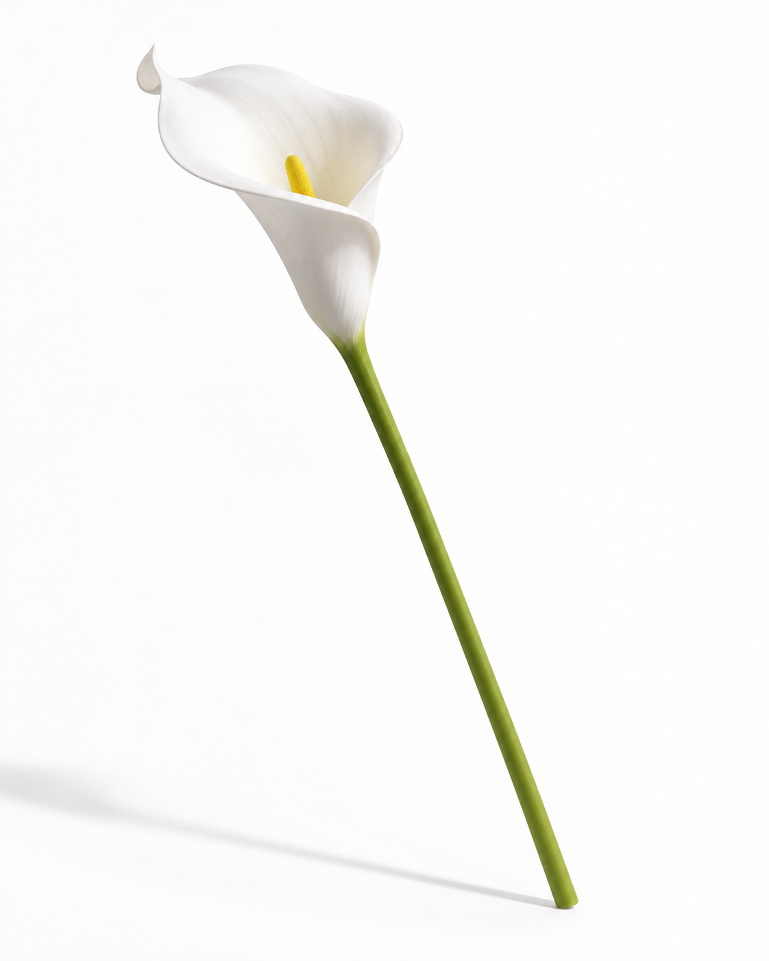 Real Touch Calla Lily Stem | White