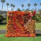 Orange, Brown and Pink Premium Flower Backdrops | 213