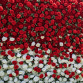 Red & White Premium Ombre Flower Backdrops | 113