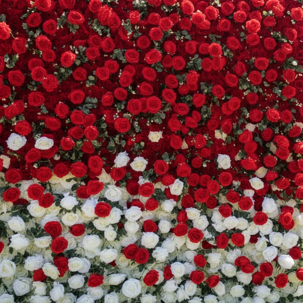 Red & White Premium Ombre Flower Backdrops | 113