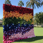 Rainbow Rose Premium Flower Backdrops | 100