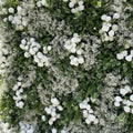 Green & White Baby's Breath Premium Flower Backdrops | 233