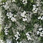 Green & White Baby's Breath Premium Flower Backdrops | 233