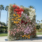 Babys Breath White, Orange, Yellow and Pink Premium Flower Backdrops | 711
