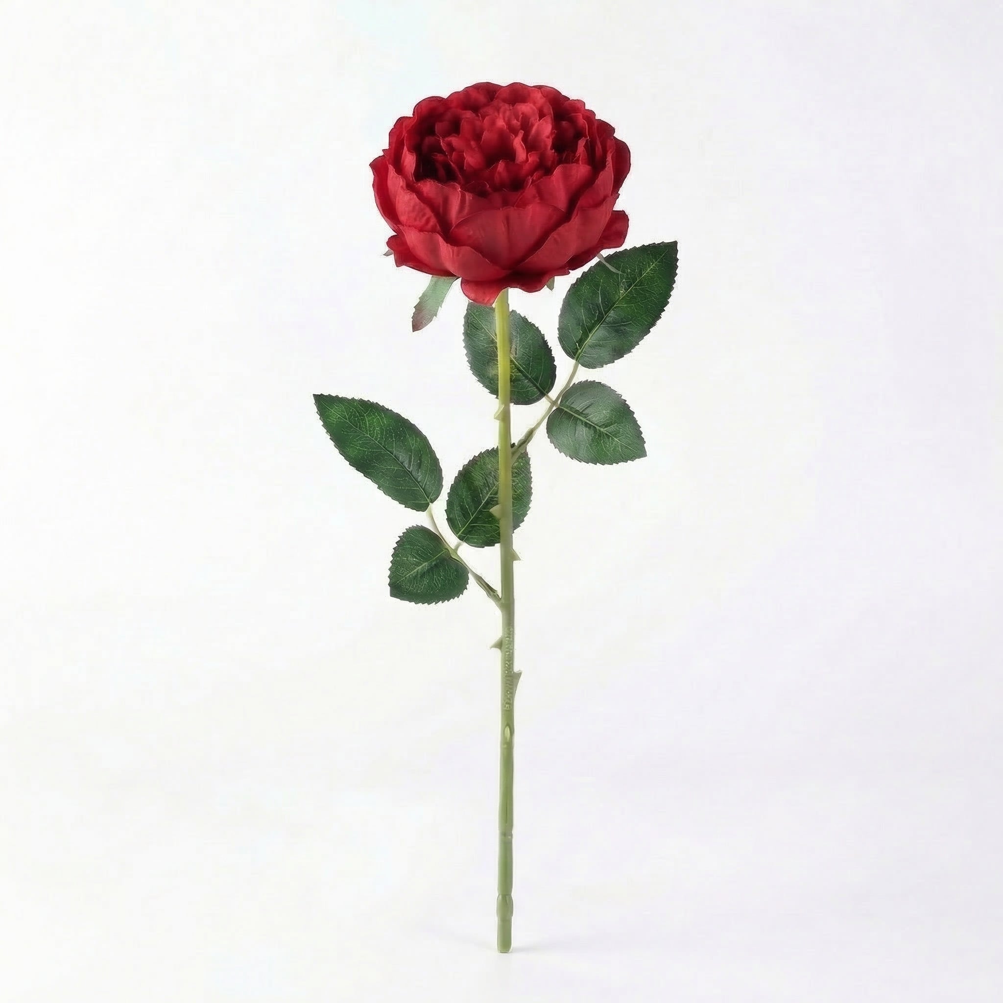 Real Touch Rose Peony Stem | Dark Red