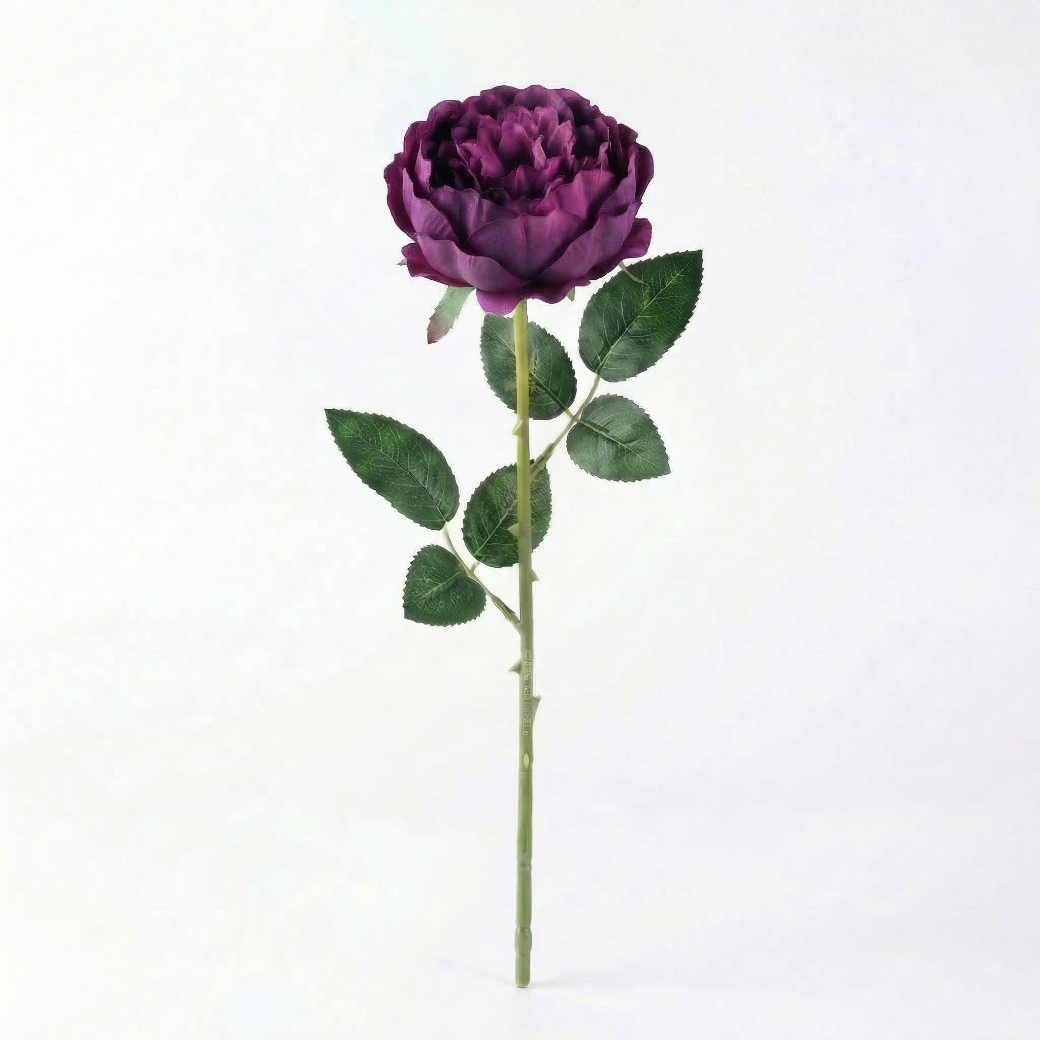 Real Touch Rose Peony Stem | Dark Purple