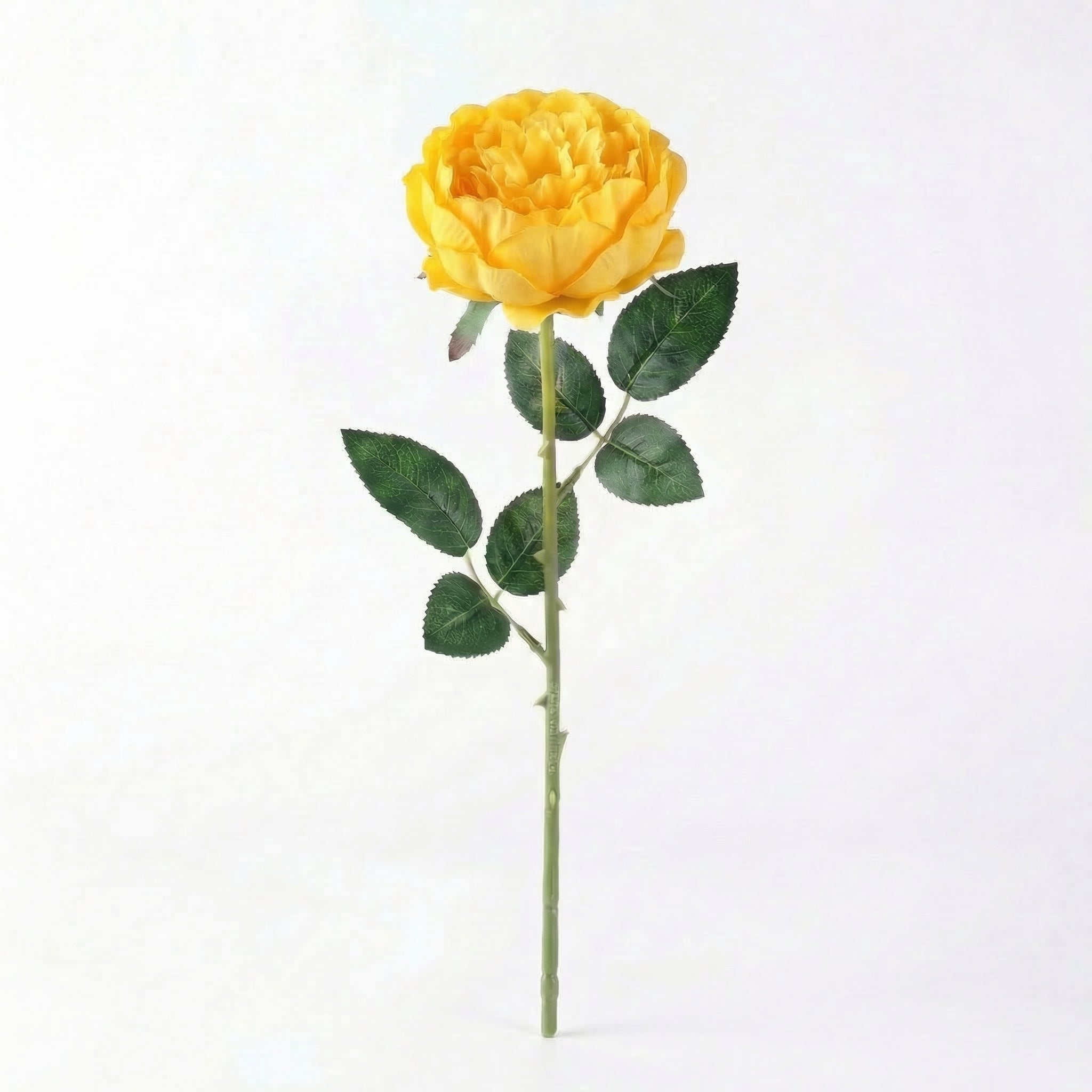 Real Touch Rose Peony Stem | Yellow