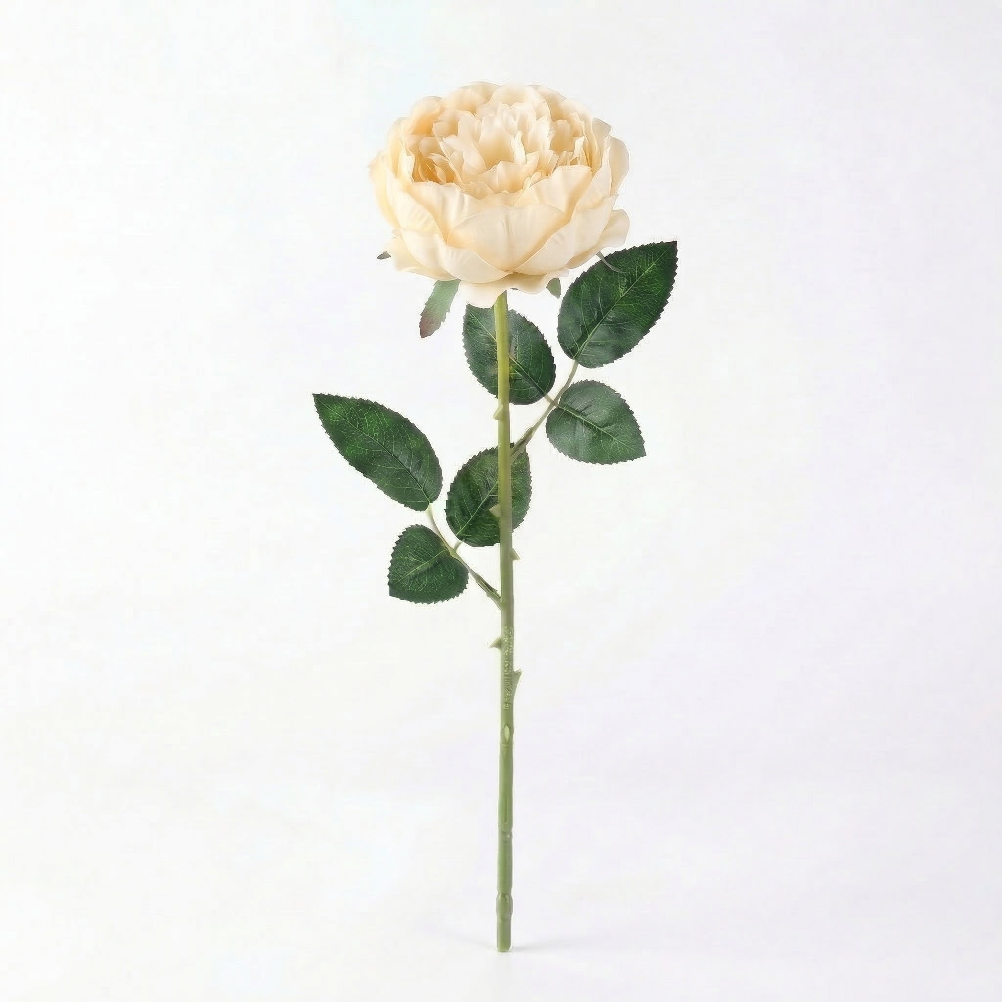 Real Touch Rose Peony Stem | Cream