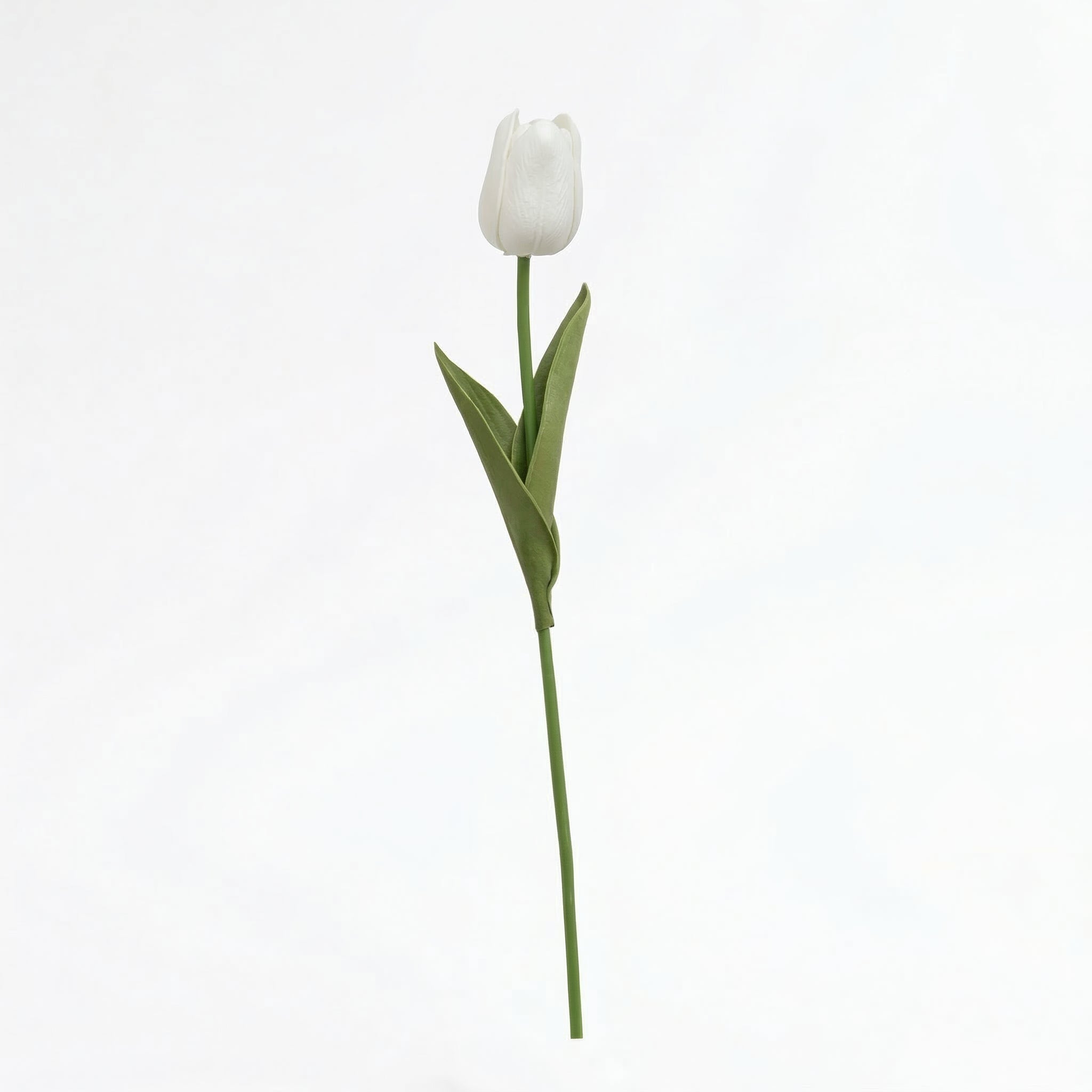 Real Touch Tulip Stem | White