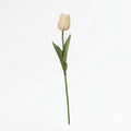 Real Touch Tulip Stem | Cream