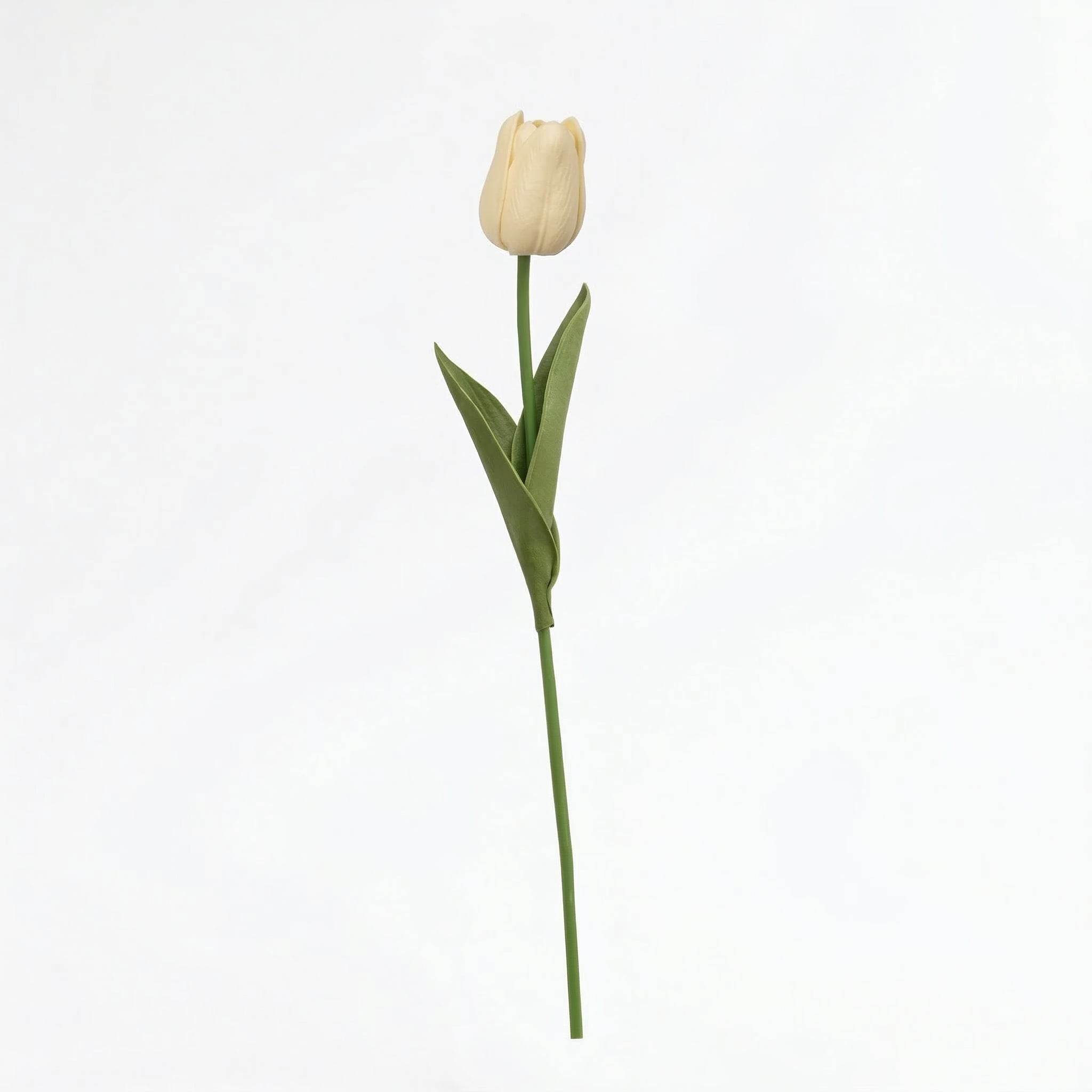 Real Touch Tulip Stem | Cream