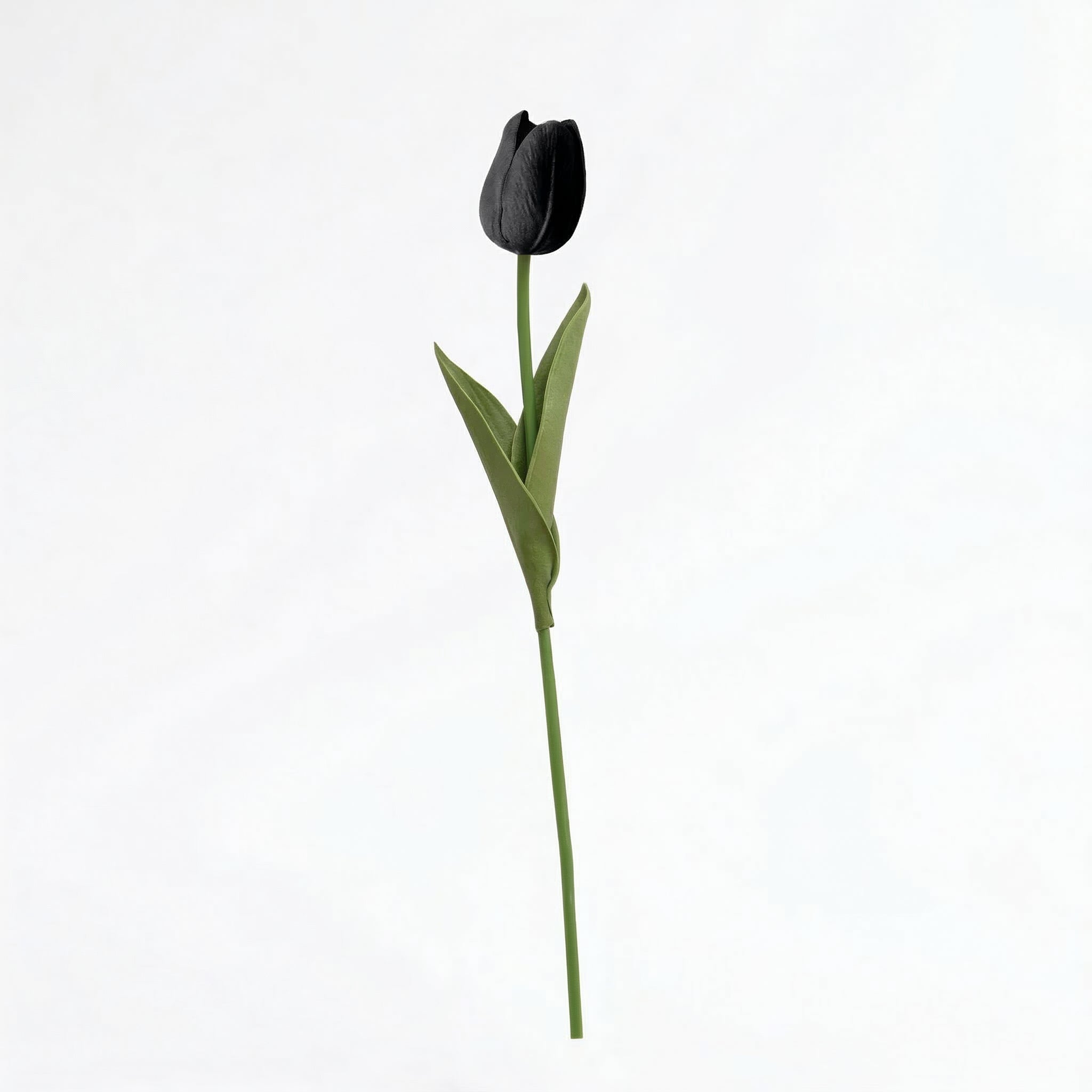 Real Touch Tulip Stem | Black