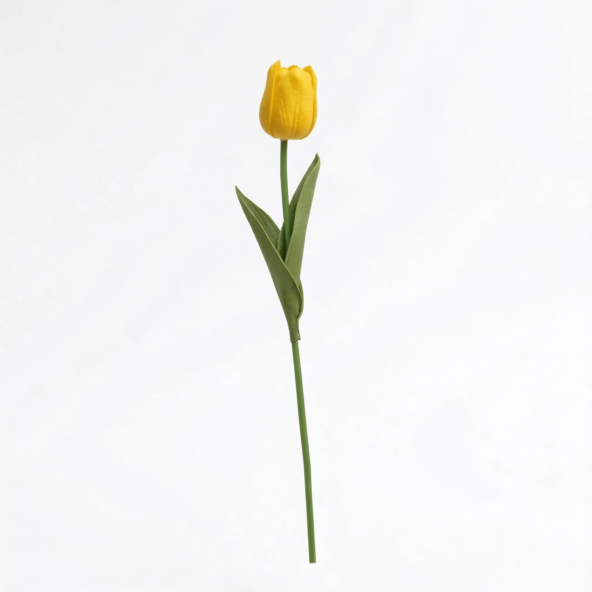 Real Touch Tulip Stem | Yellow