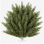Real Touch Spruce Stems