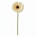 Real Touch Daisy Stem | Cream