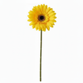 Real Touch Daisy Stem | Yellow