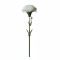 Real Touch Carnation Stem | White