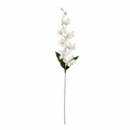 Real Touch Orchid Stem | White