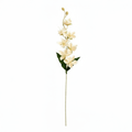 Real Touch Orchid Stem | Cream