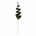 Real Touch Orchid Stem | Black