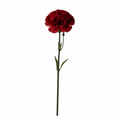 Real Touch Carnation Stem | Red